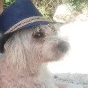 ferki0001