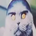 holykac