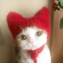 pwimero