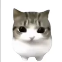 ashxtru