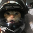 avatar 𝖋𝖆𝖚𝖑𝖙𝖞.