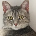 coogiii