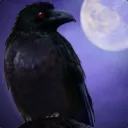 syynek