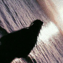 avatar (F)our of (H)earts.