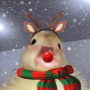 avatar °♡✧*𝑀𝘢𝓎*✧♡°