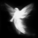 avatar °♡✧*𝑀𝘢𝓎*✧♡°