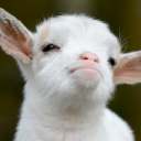 user_316tpfrgp6x7z0e6 member profile picture