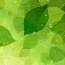 leafy_r