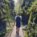 meister_holz