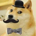foxd73