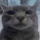 vladospoo