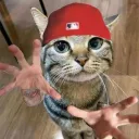 erwinaji28