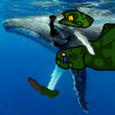 avatar Whale
