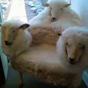 baabaasheep