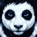 meshokpanda