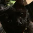 thedevil.incarnate