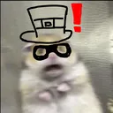omnimouse