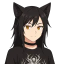knightwolf84