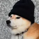 jwaa94