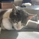 oliver