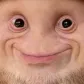 weflashjustin