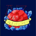 ccauliflowerr