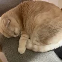 k__.__k