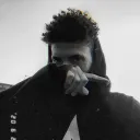 mgpaladino.