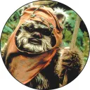 cryptoewok