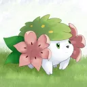 schylah