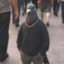 vermari