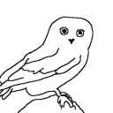 little_0wl