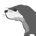 aiotter
