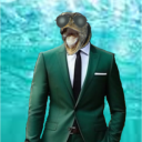avatar Turtle