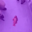 porkguy69420