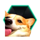 ambroid