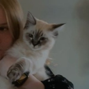 avatar ⋆𝐼𝓏𝓊𝓏