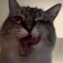 avatar ⋆𝐼𝓏𝓊𝓏