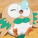 kiwi9614