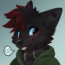 kyo_alister