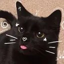 dharmathekitty