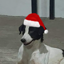 avatar Server Nickname