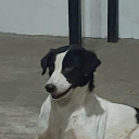 avatar Server Nickname