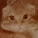 makencat
