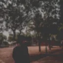 elisonr13