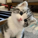 avatar mojibake 🕸