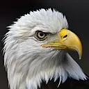 .eagle007.