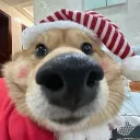 sliperz