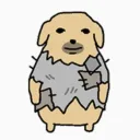 shirovw