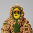cashli